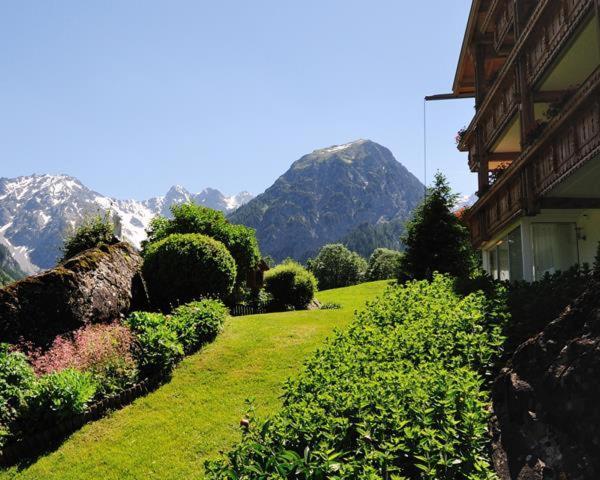 Haus Raetikon Daire Brand  Dış mekan fotoğraf